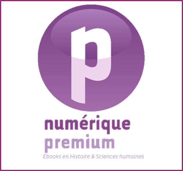 Logo Numérique premium