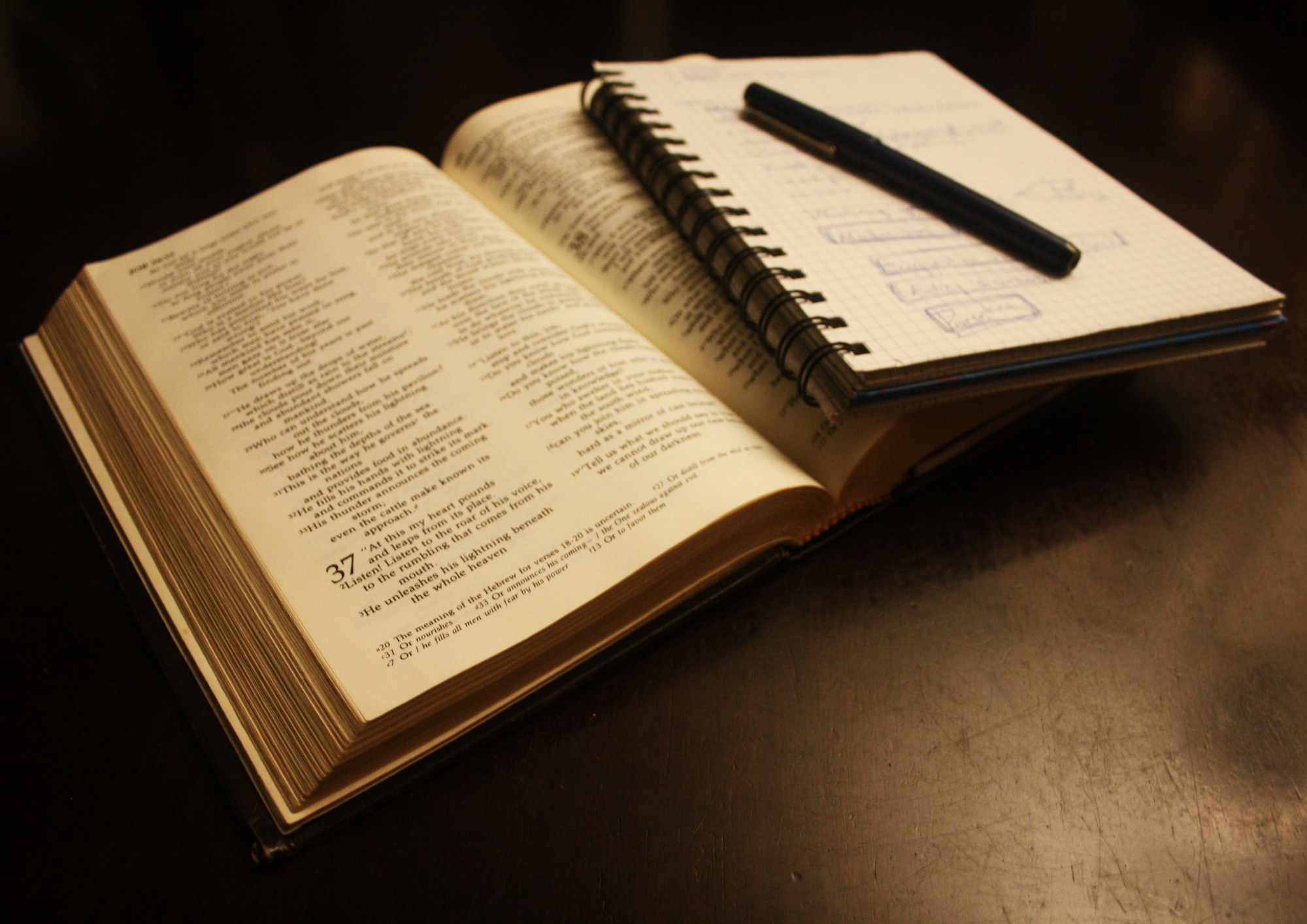 Sciences humaines et sociales